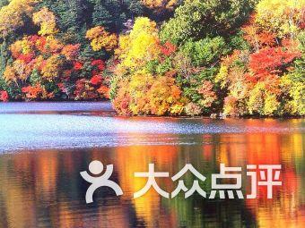 怎样卷裤脚游戏画面