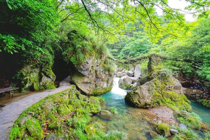 齐秦四川商演捞金，穿紧身衣挺大肚腩，为何混到这种地步？游戏画面