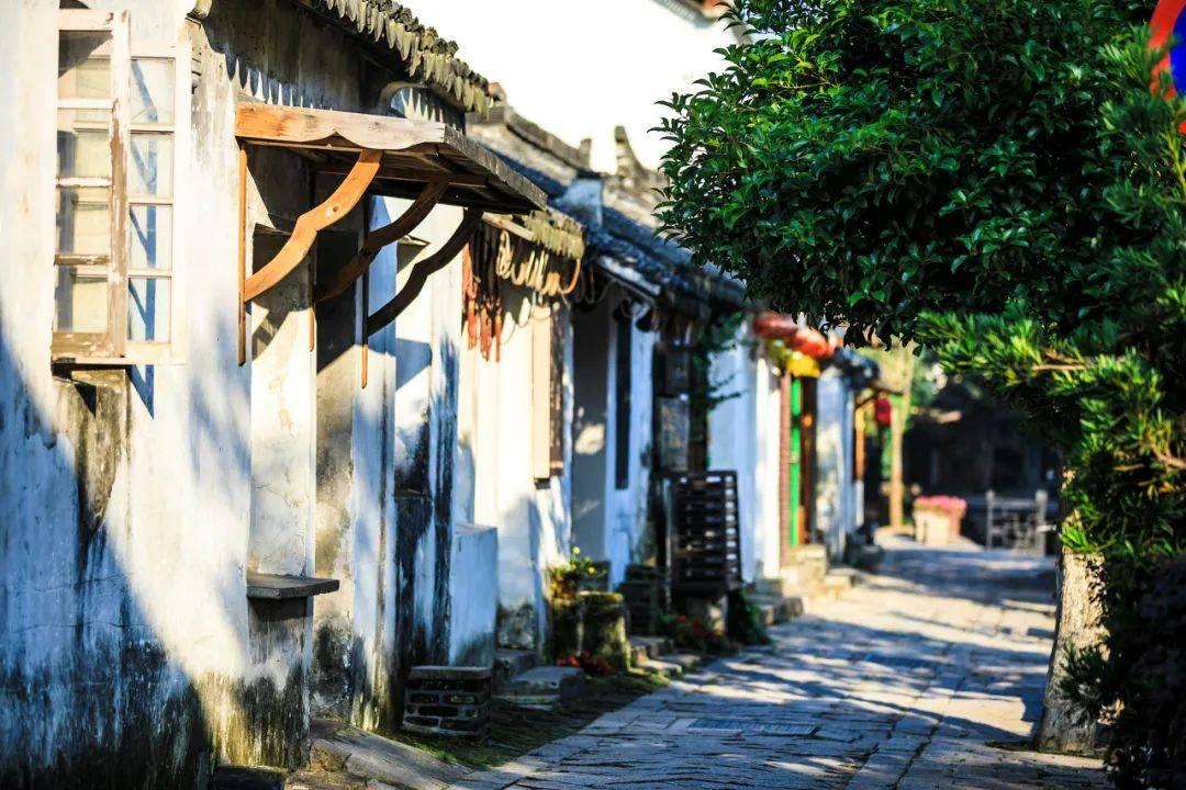 阿里：商家多平台经营是常态，今年双11不再单纯关注GMV，这反映出啥？